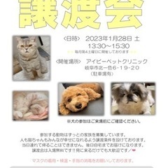 ［岐阜市］保護犬猫・譲渡会