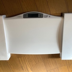 デジタル ベビースケール べびすけくんフラットの画像