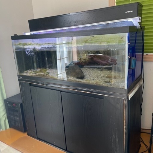 大型 水槽 フル セット 120cm ガラス水槽