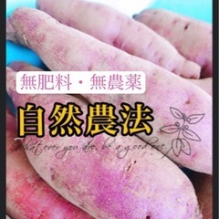 〚自然農法〛各種さつまいも 4キロ