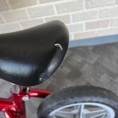 ❗️今月末まで出品❗️最終値下げ！chicco red bullet ストライダー風自転車の画像