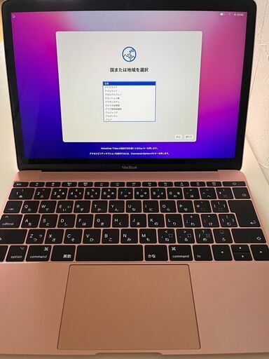 Apple MacBook Retina 12 (2017) A1534　本体のみ　NO.①