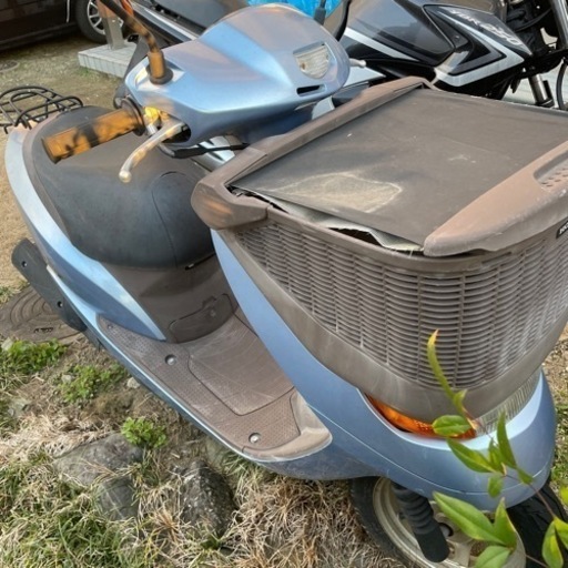 ディオチェスタ