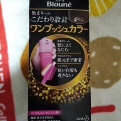 【値下】ヘアカラー　ブローネワンプッシュカラー　未使用