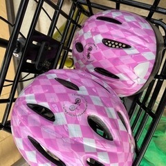 ふたご自転車　もみの木いろの画像