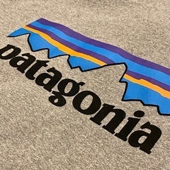 パタゴニア Patagonia パーカー フーディーの画像