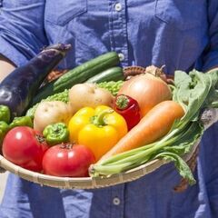 【19時～4時】倉庫内で食料品仕分け★日給9250円★【男女活躍】【仕分け作業】【夜勤】の画像