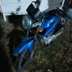 【ジャンク】YBR125の画像