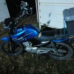 【ジャンク】YBR125の画像