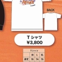 REN FAN-CON「THE DAY AFTER」IN JAPANグッツの画像