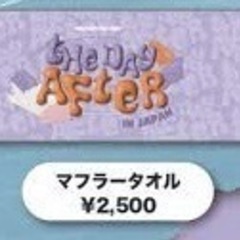 REN FAN-CON「THE DAY AFTER」IN JAPANグッツの画像