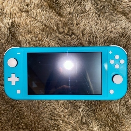 Switch light 本体のみ