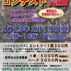 クワガタ　即売会　