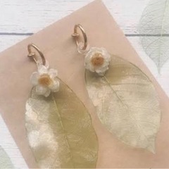 花かんざしの画像