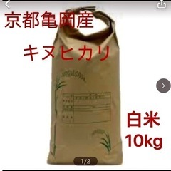 令和4年度　京都亀岡産　キヌヒカリ  10kg  白米　リピータ...