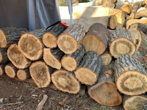 広葉樹原木ミックス　薪ストーブ　受付締切2月8日まで。次回未定