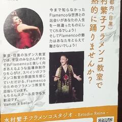 フラメンコ無料体験レッスンチケットの画像