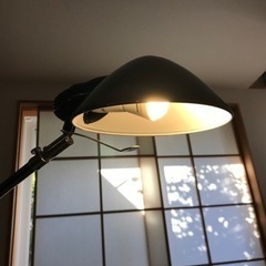 スタンドライト 照明の画像
