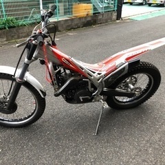 BETA evo 300 2010年式売りますの画像