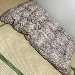 〈決まりました〉羽毛布団セット・ペア【ルマン】の画像