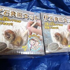 【新品未開封】3種の化石発掘キット★アンモナイト、さんようちゅう...