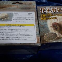 【新品未開封】3種の化石発掘キット★アンモナイト、さんようちゅう、ウニ※1600円の画像