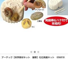 【新品未開封】3種の化石発掘キット★アンモナイト、さんようちゅう、ウニ※1600円の画像