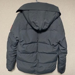 カナダグースダウンの画像