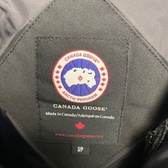 カナダグースダウンの画像