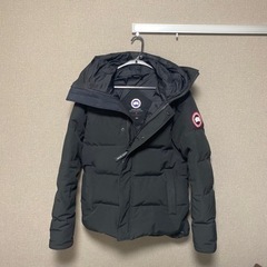 カナダグースダウンの画像