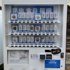 昆虫の養殖についてのパートナーを探してます。