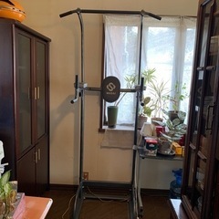 [値下げしました]WASAI(ワサイ) ぶら下がり健康器 懸垂マシン