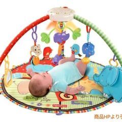 【美品※使用回数少】ベビーどうぶつえん デラックスジム&メリー Fisher-Priceの画像