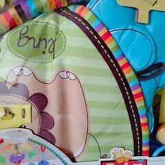 【美品※使用回数少】ベビーどうぶつえん デラックスジム&メリー Fisher-Priceの画像