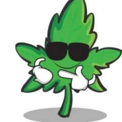 楽器できる方
