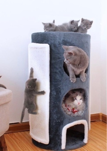 ❤️値下げました！❤️猫のクライミングツリー　キャットタワー　爪研ぎ付き