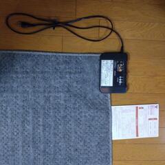 電気カーペットの画像