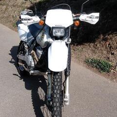XR250 MD-30　値下げしました。