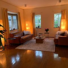 de Sede sofaの画像