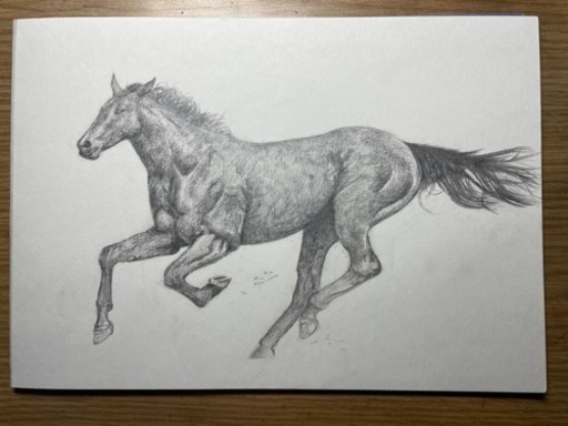 色紙にデッサン画を描きます。