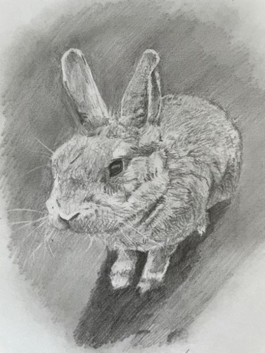 色紙にデッサン画を描きます。