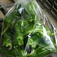 【高時給1250円〜✩週1日、土曜日のみ！！】未経験歓迎＊野菜、...