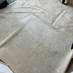 ラグ　サンゲツの画像