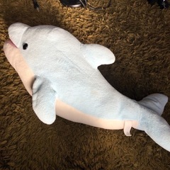 いるか特大ぬいぐるみ