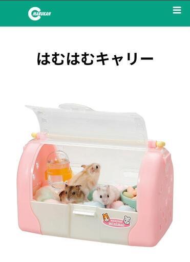 小動物用キャリーバッグ（ハムスター、小鳥など）