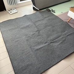 ホットカーペットの画像