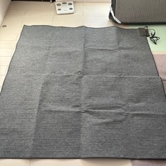 ホットカーペットの画像