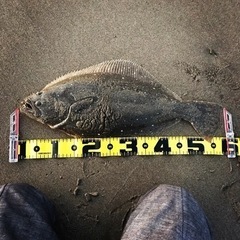 🐟オフショアジギング&テンヤ真鯛 釣友募集😊期間限定 不定期募集