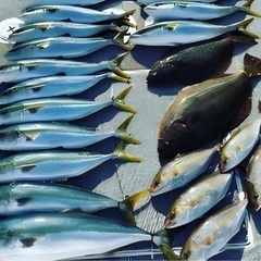 🐟オフショアジギング&テンヤ真鯛 釣友募集😊期間限定 不定期募集 - 友達