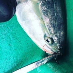 🐟オフショアジギング&テンヤ真鯛 釣友募集😊期間限定 不定期募集 - メンバー募集